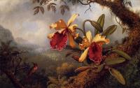 Heade, Martin Johnson - Orchids and Hummingbird